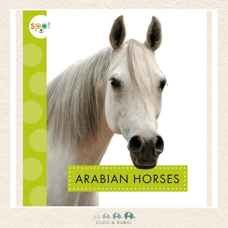 *Arabian Horses, CoCo & KaBri Children's Boutique