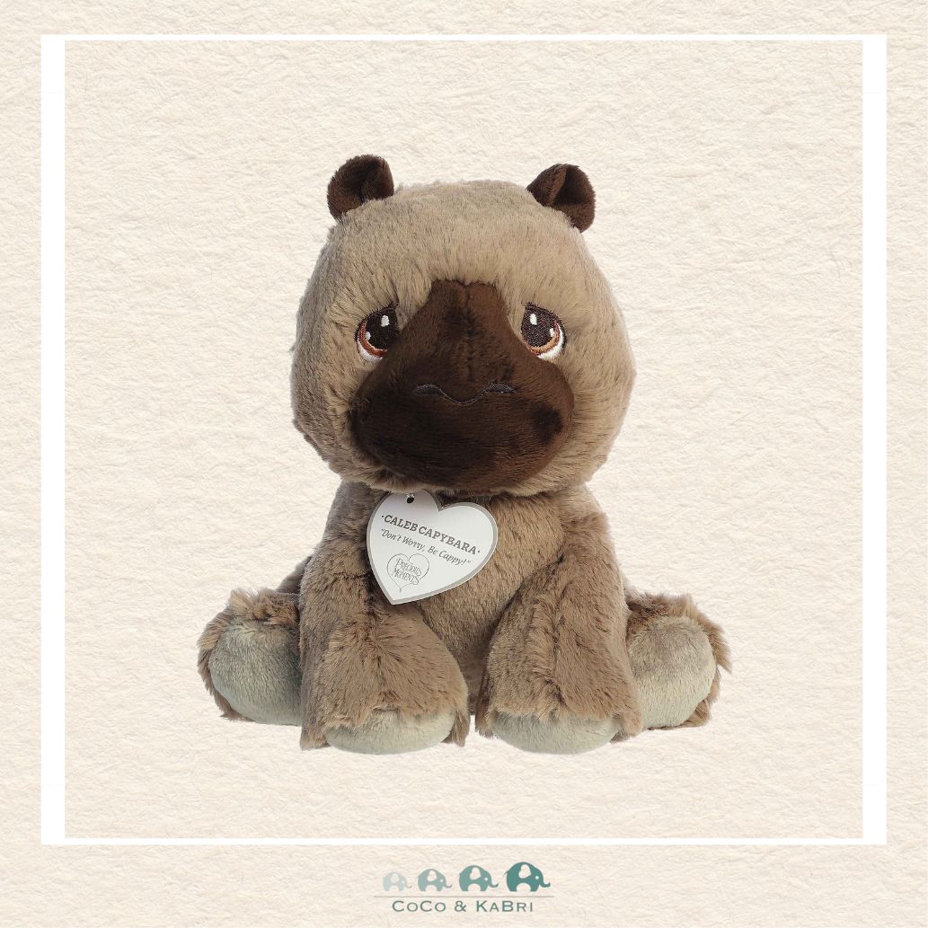 Aurora® - Precious Moments™ - 8.5" Caleb Capybara, CoCo & KaBri Children's Boutique