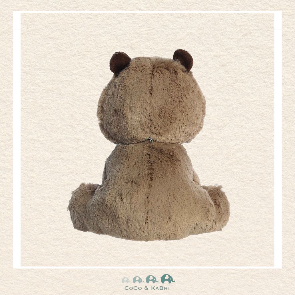 Aurora® - Precious Moments™ - 8.5" Caleb Capybara, CoCo & KaBri Children's Boutique