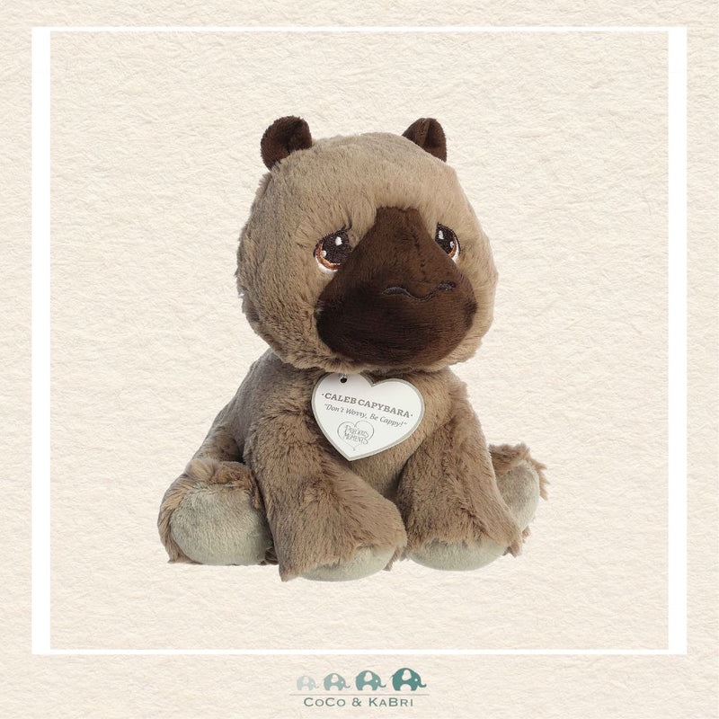 Aurora® - Precious Moments™ - 8.5" Caleb Capybara, CoCo & KaBri Children's Boutique