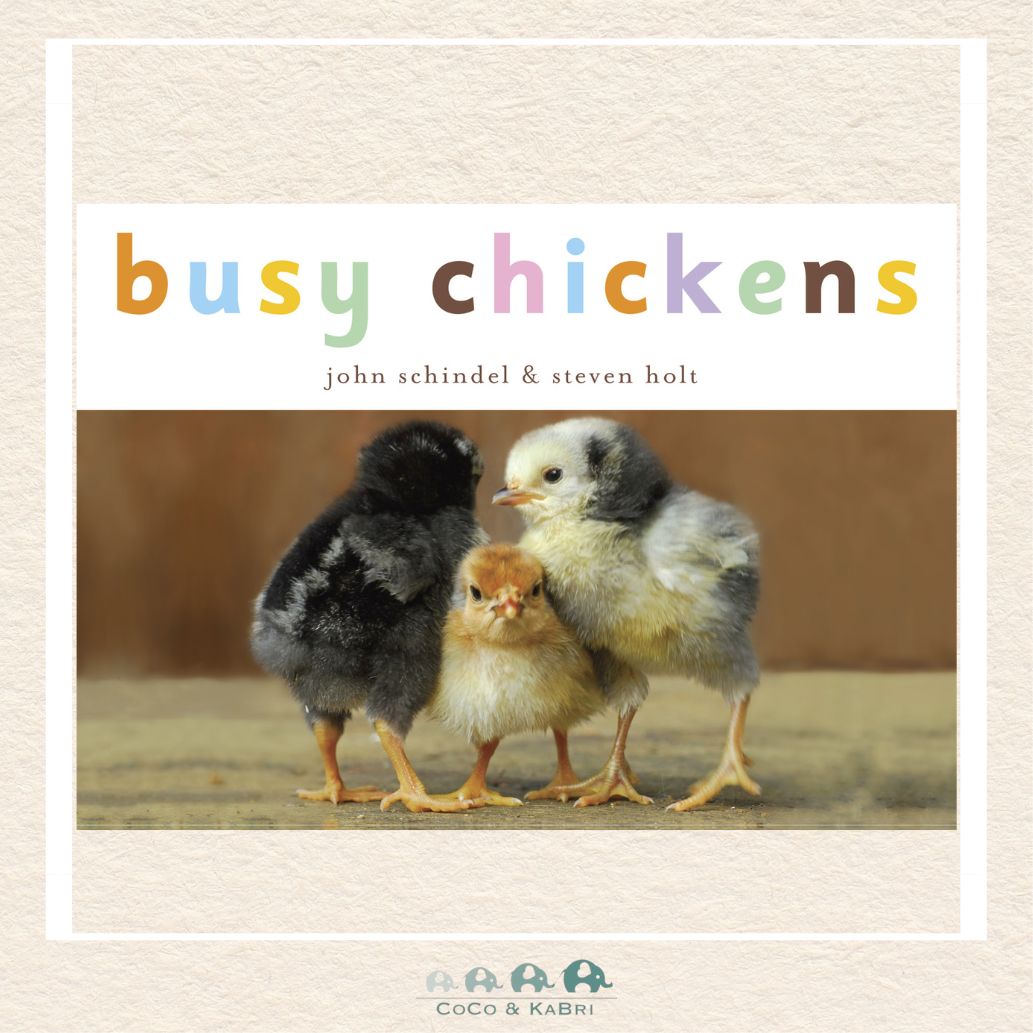 Busy Chickens board book by John Schindel featuring a bright white cover with a high-quality photograph of a white chicken, black chicken & yellow chick