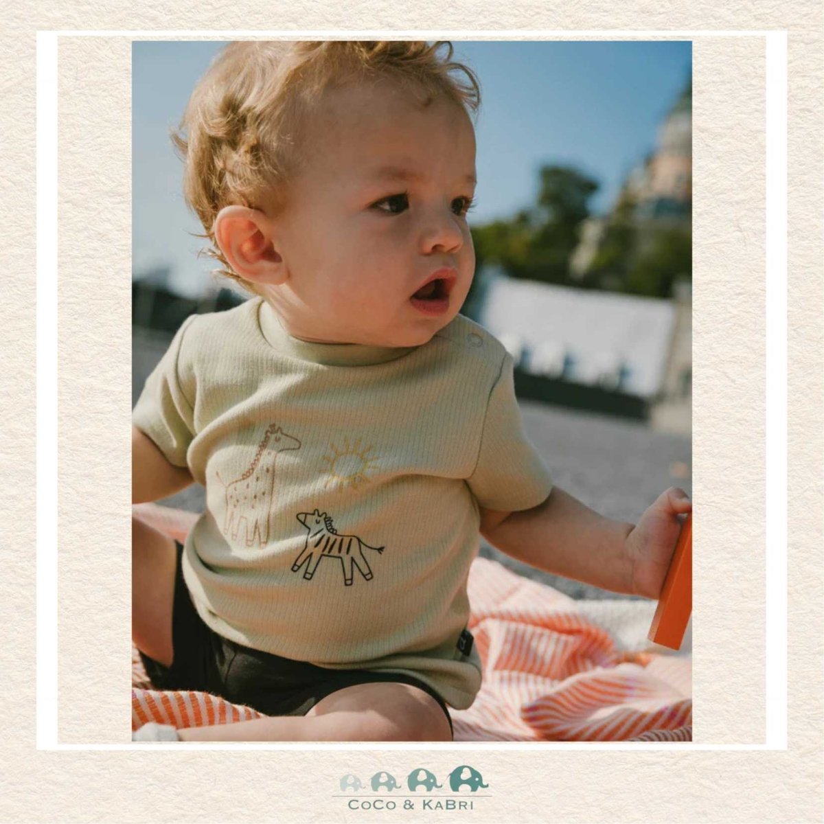 🇨🇦 Deux Par Deux: Cotton Rib Jersey T-Shirt And Organic Cotton Jersey Short Set Sage Green And Black, CoCo & KaBri Children's Boutique, Brooks Alberta Canada