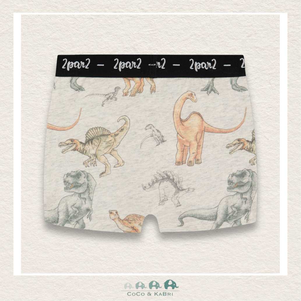 🇨🇦 Deux Par Deux Dinosaur Boxers, CoCo & KaBri Children's Boutique
