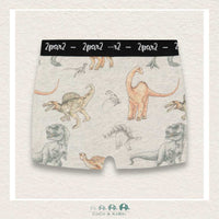 🇨🇦 Deux Par Deux Dinosaur Boxers, CoCo & KaBri Children's Boutique