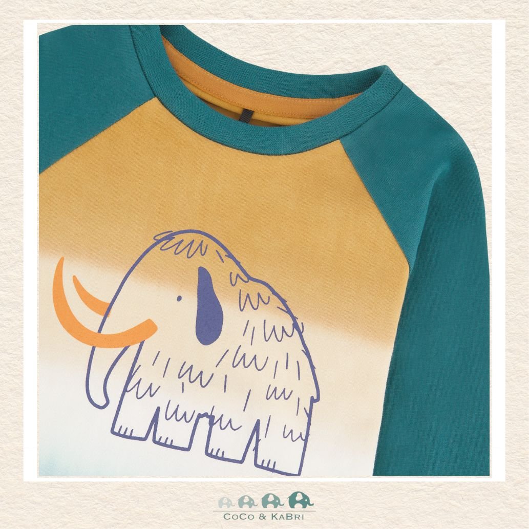 🇨🇦 Deux Par Deux Long Sleeve Raglan T-Shirt, CoCo & KaBri Children's Boutique