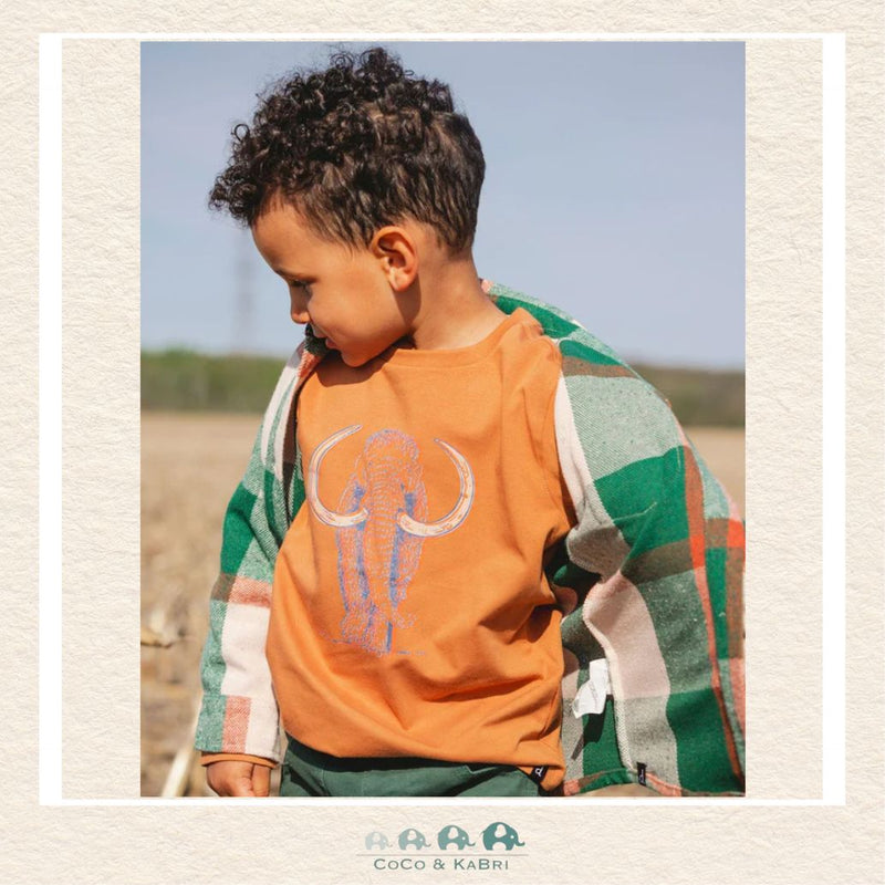 🇨🇦Deux Par Deux Mammoth Tshirt, CoCo & KaBri Children's Boutique