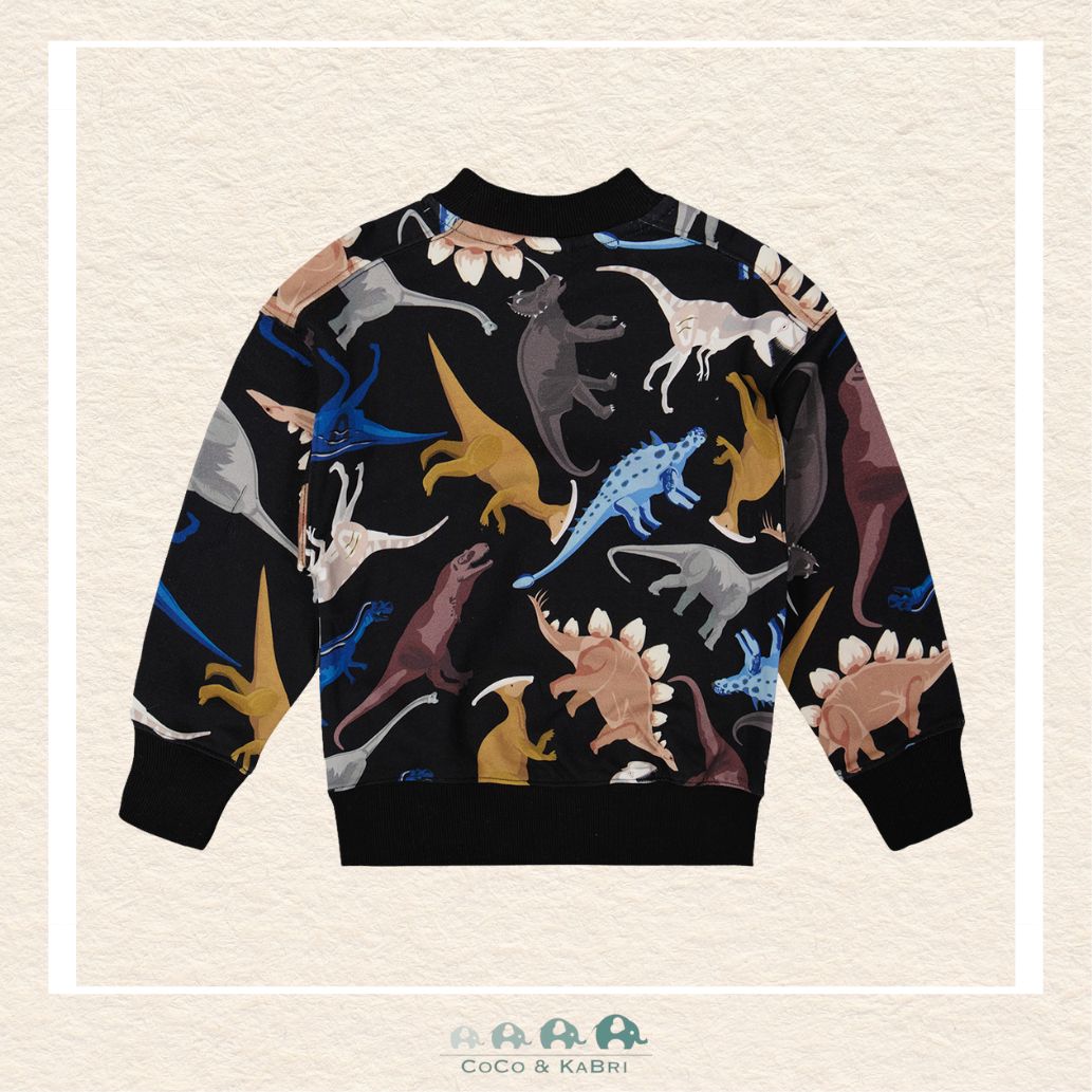🇨🇦 Deux Par Deux Printed Fleece Sweatshirt - Dinos, CoCo & KaBri Children's Boutique