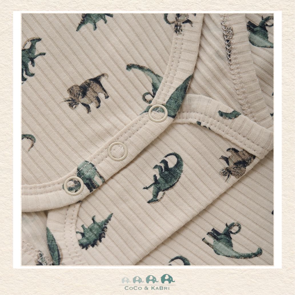 Enfant: Baby Boy Dinosaur Diaper Shirt, CoCo & KaBri Children's Boutique