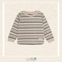Enfant: Baby Boy Striped Tshirt, CoCo & KaBri Children's Boutique