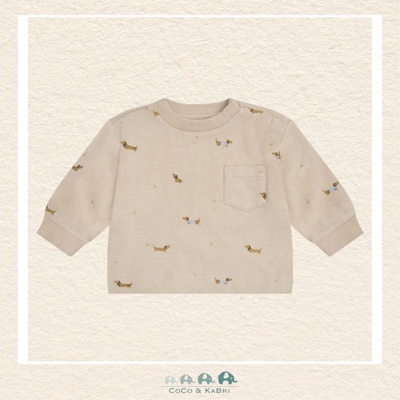 Front view of the Fixoni baby boy sweatshirt in a soft neutral tone featuring a playful repeating dachshund print and a comfortable crew neckline