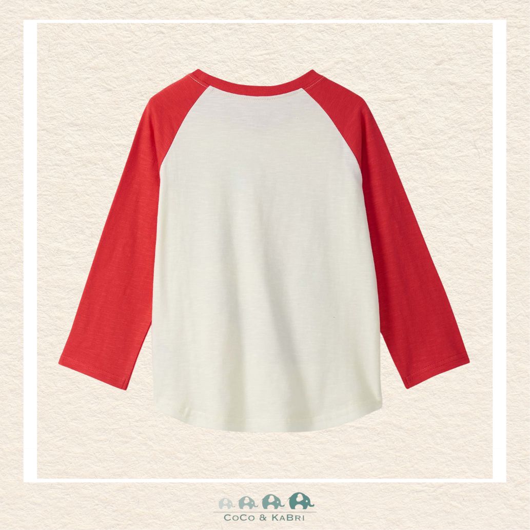🇨🇦 Hatley: Boys Dinos Raglan Sleeve Tee, CoCo & KaBri Children's Boutique