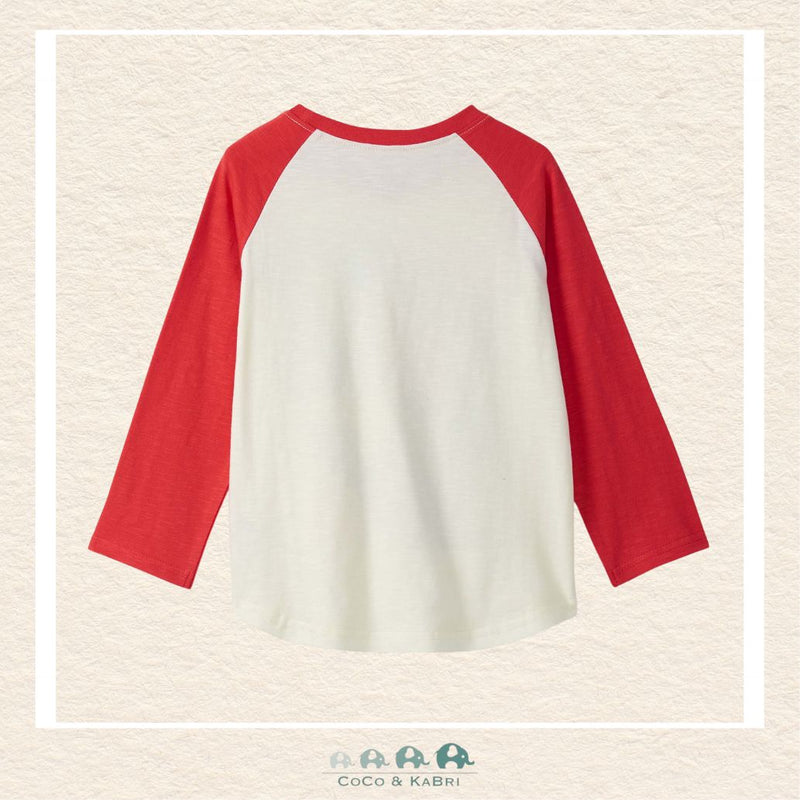 🇨🇦 Hatley: Boys Dinos Raglan Sleeve Tee, CoCo & KaBri Children's Boutique