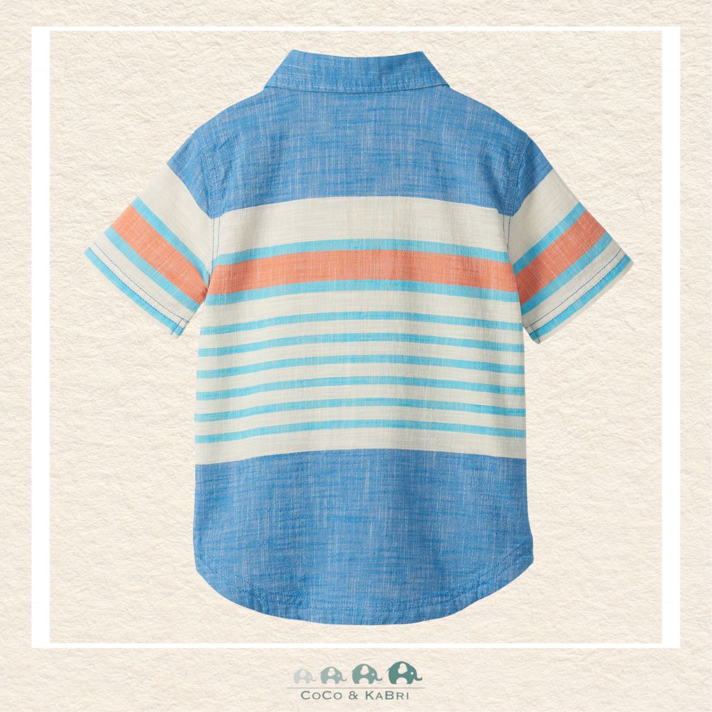 🇨🇦 Hatley: Boys' Fresh Stripes Chambray Button Down Shirt, CoCo & KaBri Children's Boutique