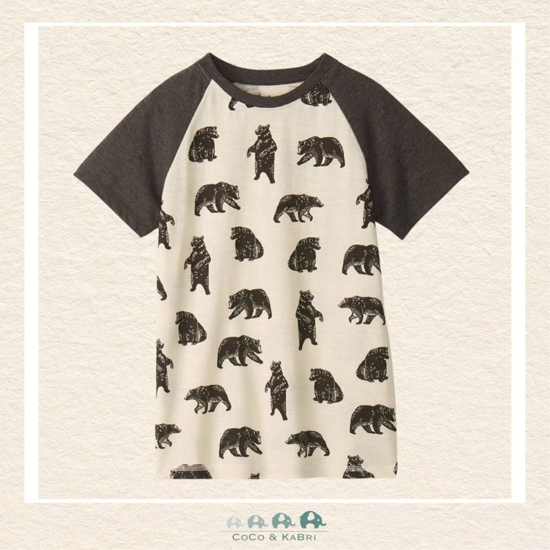 Hatley: Boys Graphic Bear Tshirt, CoCo & KaBri Children's Boutique