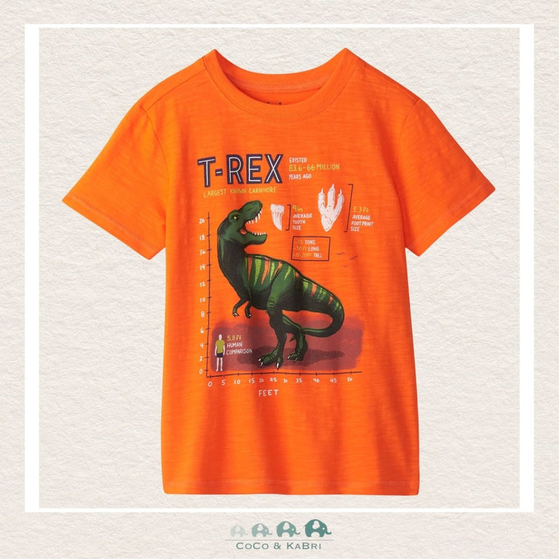 Hatley T-Rex Graphic Tee, CoCo & KaBri Children's Boutique