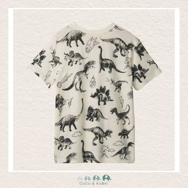 🇨🇦 Hatley:Boys Dino Extinction Graphic 'Tee, CoCo & KaBri Children's Boutique