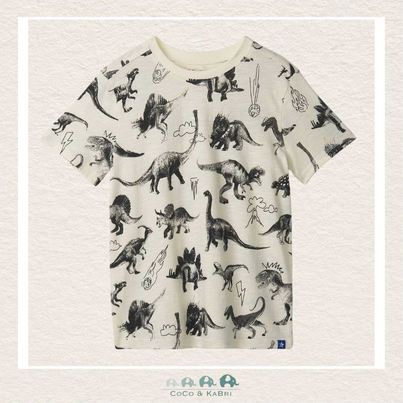 🇨🇦 Hatley:Boys Dino Extinction Graphic 'Tee, CoCo & KaBri Children's Boutique