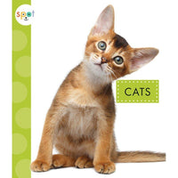 Horse/Cat Book Bundle, CoCo & KaBri Children's Boutique