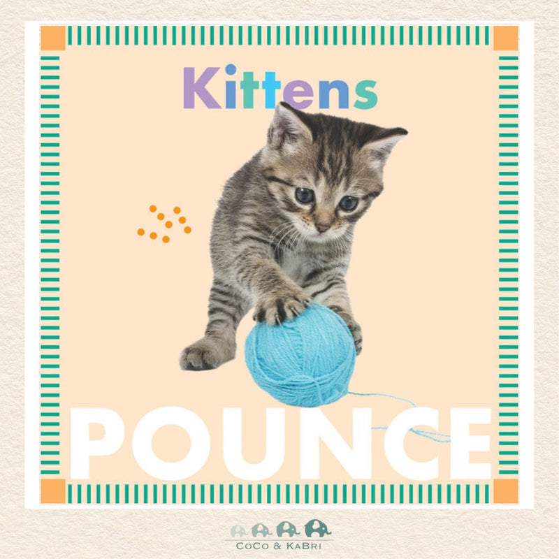 KITTENS POUNCE, CoCo & KaBri Children's Boutique