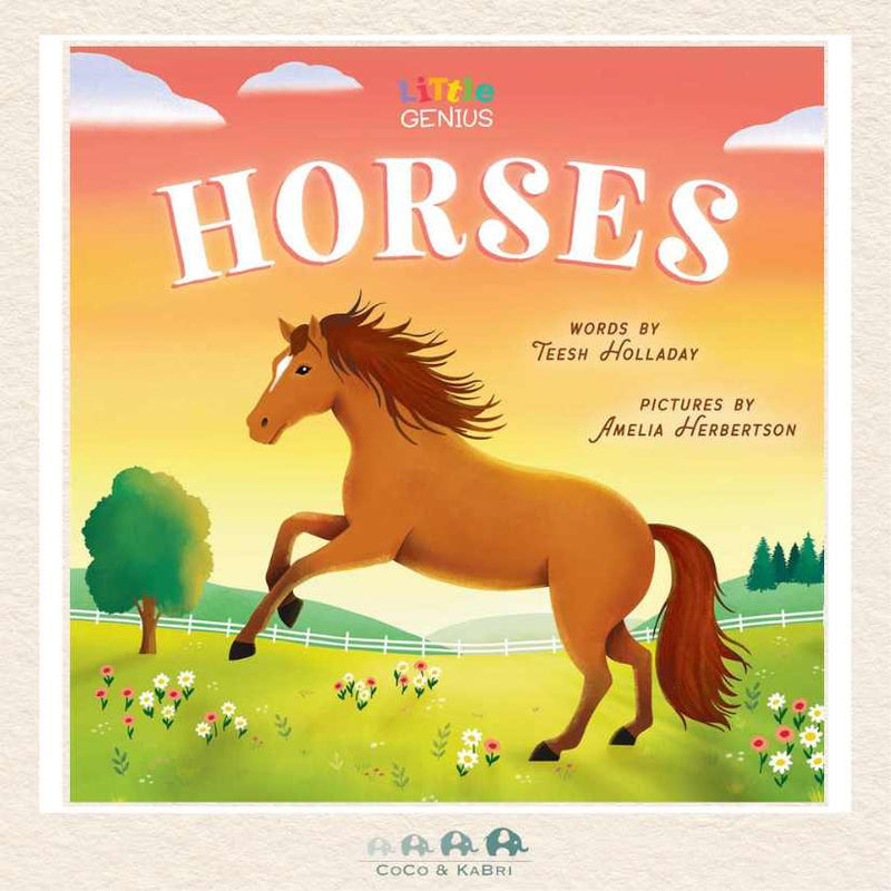 Little Genius Horses, CoCo & KaBri Children's Boutique