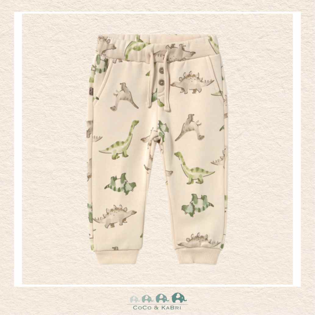 Mayoral Baby Boy Jogging Pants - Dinosaur Pattern, CoCo & KaBri Children's Boutique, Brooks Alberta Canada