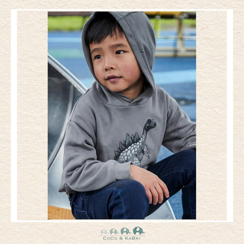 Mayoral: Embossment Dinosaur Hoodie, CoCo & KaBri Children's Boutique