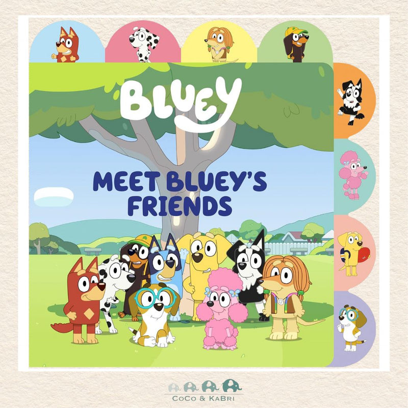 Meet Bluey's Friends, CoCo & KaBri Children's Boutique