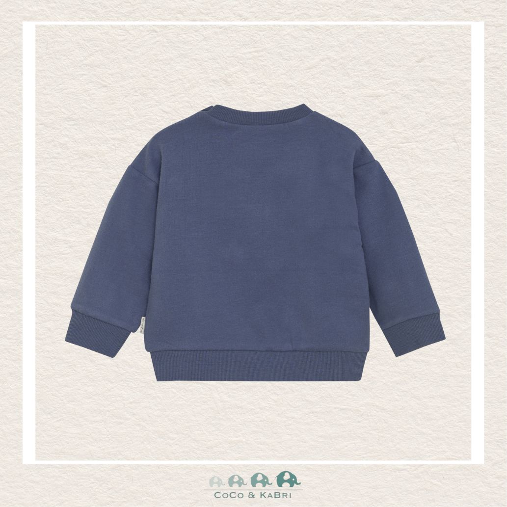Minymo: Baby Boy Dinosaur Sweatshirt, CoCo & KaBri Children's Boutique