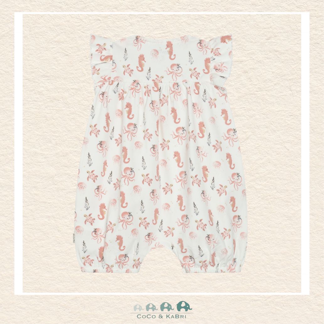 Minymo Baby Girl Seahorse Romper, CoCo & KaBri Children's Boutique, Brooks Alberta Canada