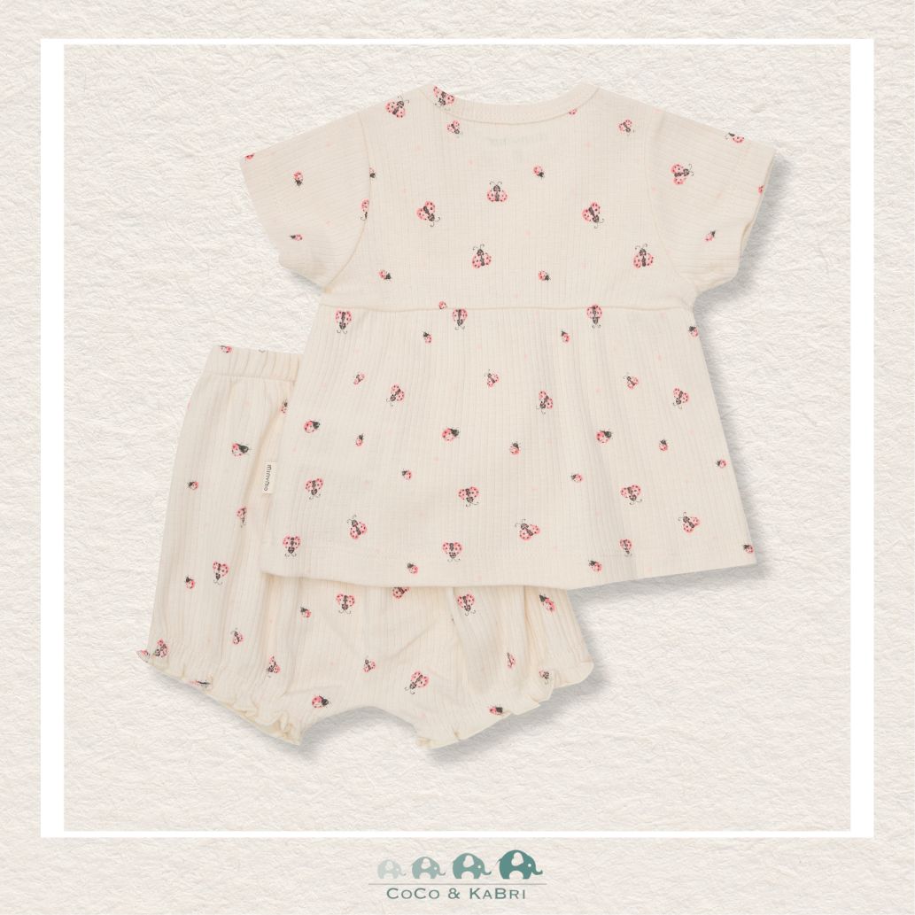Minymo: Baby Girl Two Piece Ladybug Outfit, CoCo & KaBri Children's Boutique