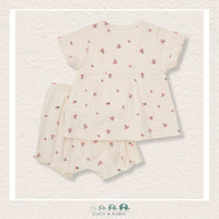 Minymo: Baby Girl Two Piece Ladybug Outfit, CoCo & KaBri Children's Boutique