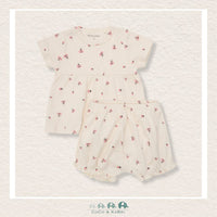 Minymo: Baby Girl Two Piece Ladybug Outfit, CoCo & KaBri Children's Boutique