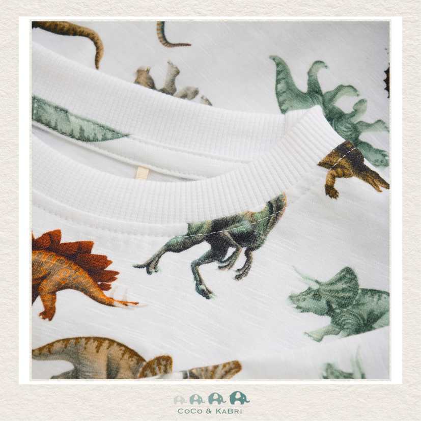 Minymo: Boys Dinosaur Tshirt, CoCo & KaBri Children's Boutique