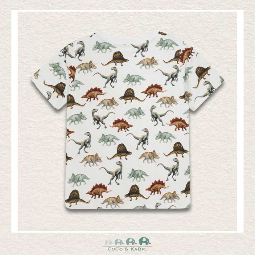 Minymo: Boys Dinosaur Tshirt, CoCo & KaBri Children's Boutique