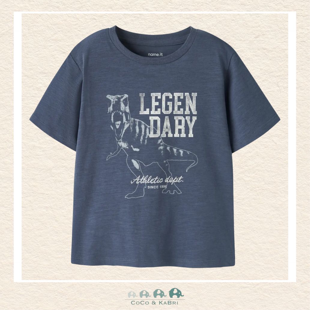 Name It: Boys' Dinosaur Tshirt, CoCo & KaBri Children's Boutique, Brooks Alberta Canada