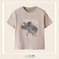 Name It: Boys' Dinosaur Tshirt, CoCo & KaBri Children's Boutique, Brooks Alberta Canada