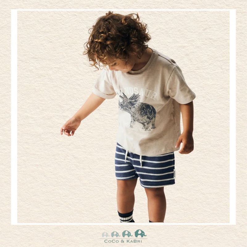 Name It: Boys' Dinosaur Tshirt, CoCo & KaBri Children's Boutique, Brooks Alberta Canada