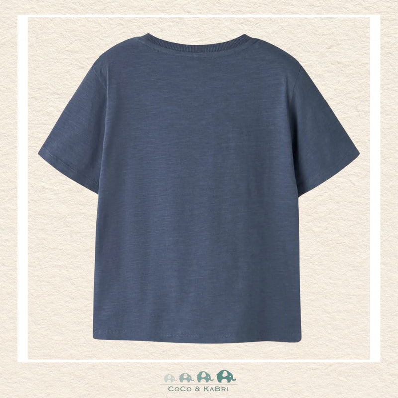 Name It: Boys' Dinosaur Tshirt, CoCo & KaBri Children's Boutique, Brooks Alberta Canada