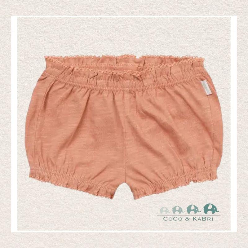 *Noppies: Baby Girl Shorts Norman - Rose Dawn, CoCo & KaBri Children's Boutique