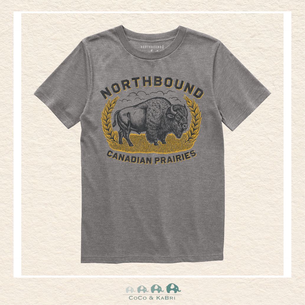 🇨🇦 Northbound Co: Youth Boys' Tee - Canadian Prairies, CoCo & KaBri Children's Boutique
