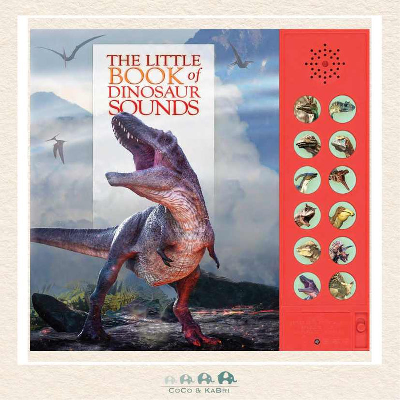 The Little Book of Dinosaur Sounds, CoCo & KaBri Children's Boutique
