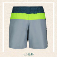 Under Armour Boys Youth: Tri Block Volley Swim Trunk - Static Blue, CoCo & KaBri Children's Boutique