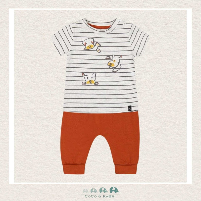 Deux Par Deux Baby Boy Tshirt & Short Set - Dog Striped Shirt, CoCo & KaBri Children's Boutique