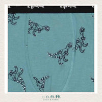 🇨🇦 Deux Par Deux: Mechanical Dinosaur Boxers, CoCo & KaBri Children's Boutique