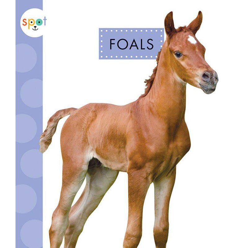 Foals-Books-Raincoast-[option4]-[option5]-[option6]-CoCo & KaBri Children's Boutique