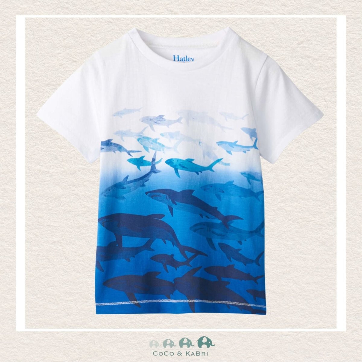 Hatley: Shark School Graphic Tshirt, CoCo & KaBri Children's Boutique