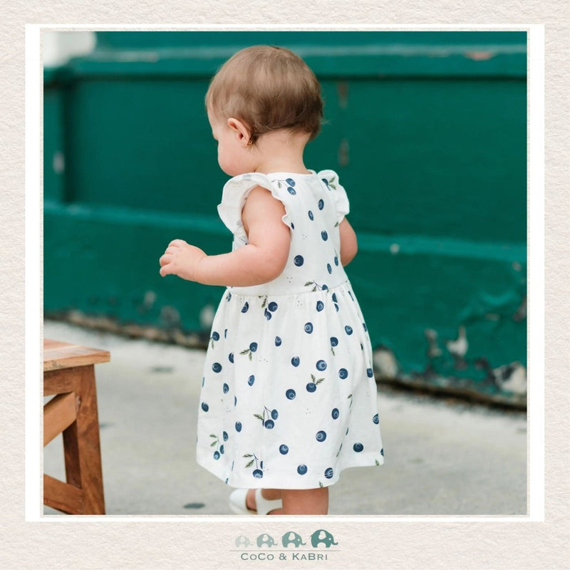 Petit Lem Baby Dress - Blueberries, CoCo & KaBri Children's Boutique