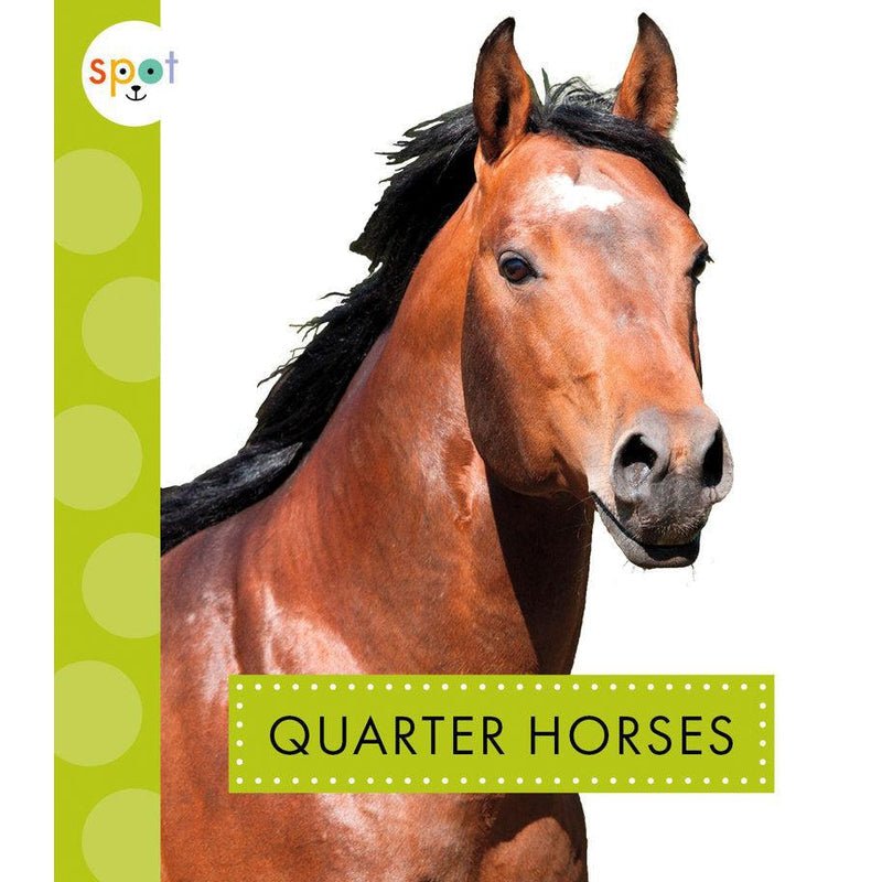 Quarter Horses - CoCo & KaBri