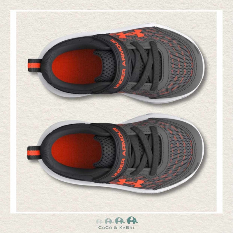 Under Armour: BINF Assert 10 AC Running Shoes - Dark Grey, CoCo & KaBri Children's Boutique
